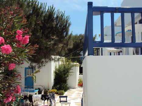 AFRODITE GARDEN