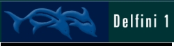 DELFINI 1