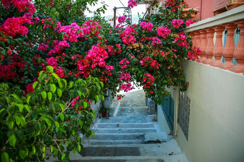 stairs
